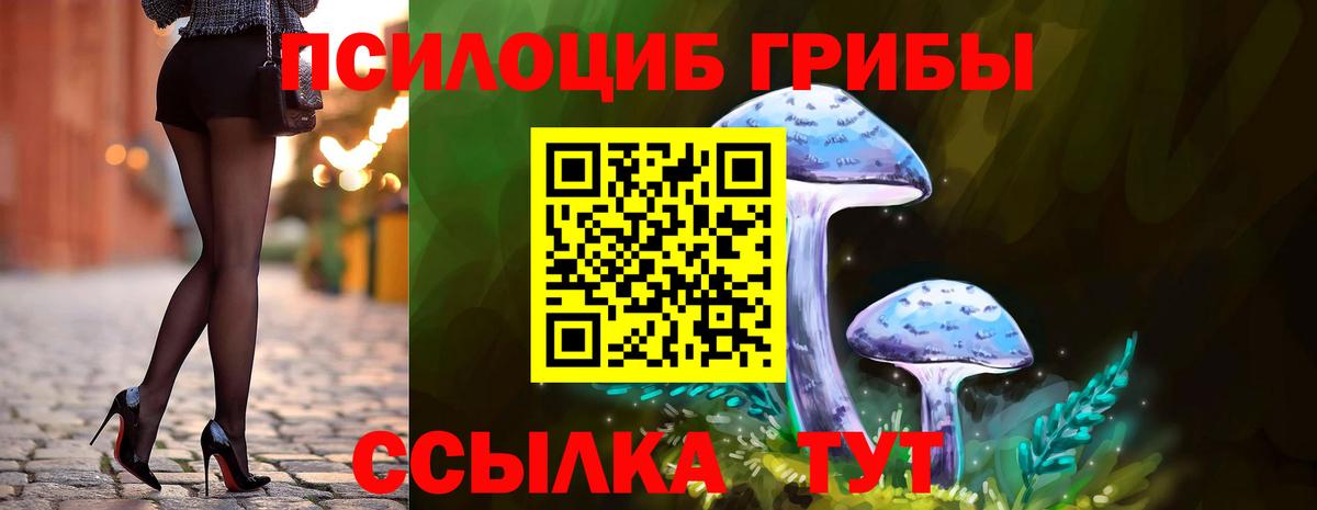 Псилоцибиновые грибы Cubensis Шадринск